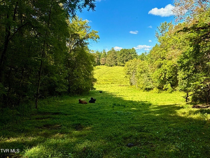 Photo #9: 34/Ac Tbd Off Big Creek Road
