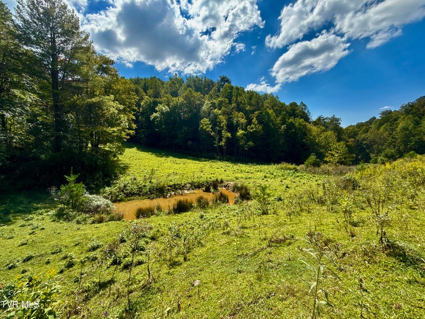 Photo #10: 34/Ac Tbd Off Big Creek Road