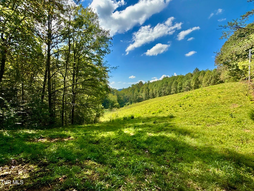 Photo #11: 34/Ac Tbd Off Big Creek Road