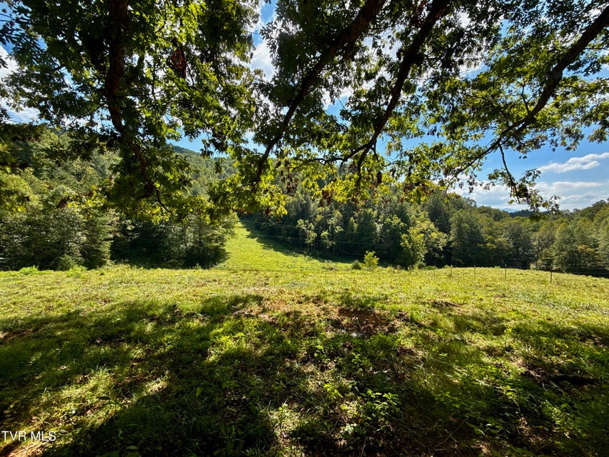 Photo #12: 34/Ac Tbd Off Big Creek Road