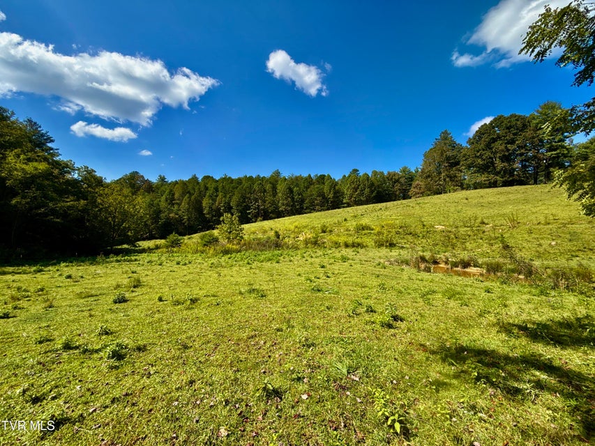 Photo #14: 34/Ac Tbd Off Big Creek Road