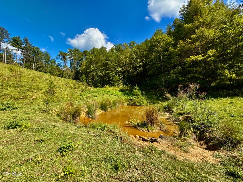 Photo #15: 34/Ac Tbd Off Big Creek Road