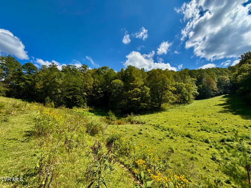 Photo #16: 34/Ac Tbd Off Big Creek Road