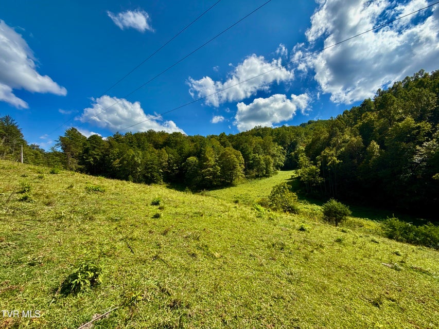 Photo #19: 34/Ac Tbd Off Big Creek Road