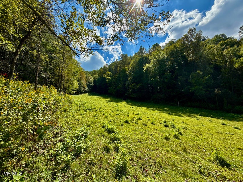 Photo #20: 34/Ac Tbd Off Big Creek Road