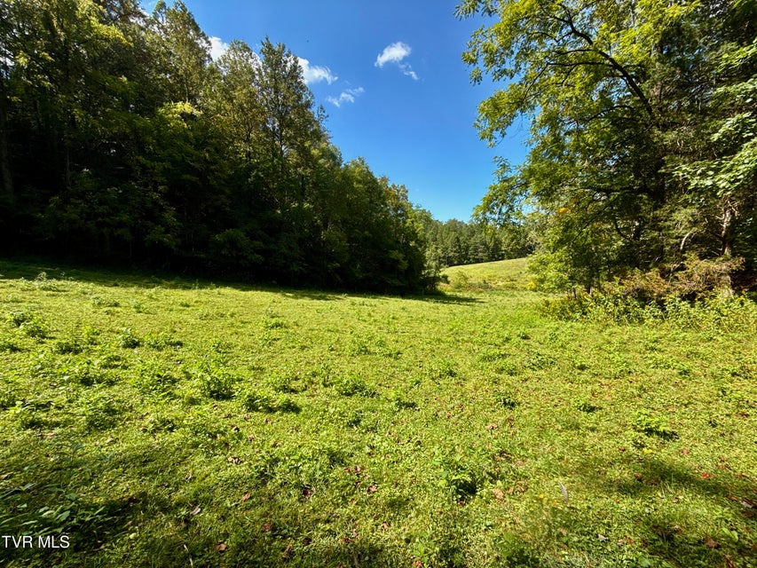 Photo #21: 34/Ac Tbd Off Big Creek Road