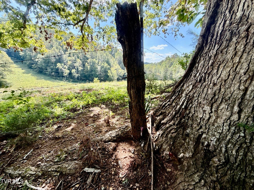 Photo #23: 34/Ac Tbd Off Big Creek Road