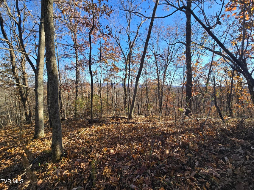 Photo #5: Tbd Lloyd's Chapel Road 