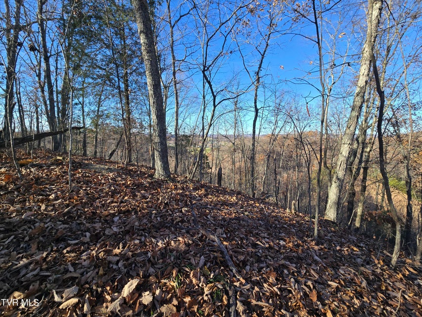 Photo #6: Tbd Lloyd's Chapel Road 