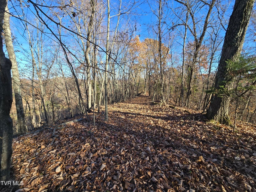 Photo #7: Tbd Lloyd's Chapel Road 