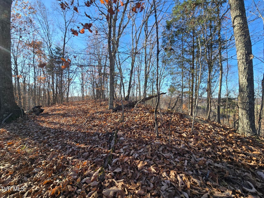 Photo #9: Tbd Lloyd's Chapel Road 