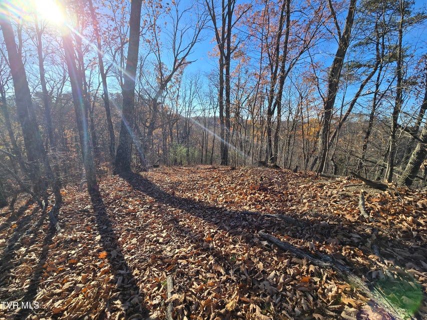 Photo #10: Tbd Lloyd's Chapel Road 