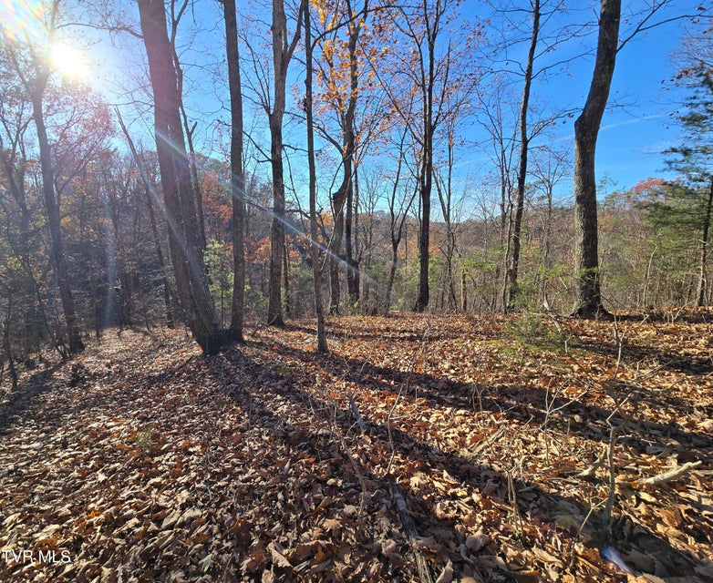 Photo #12: Tbd Lloyd's Chapel Road 