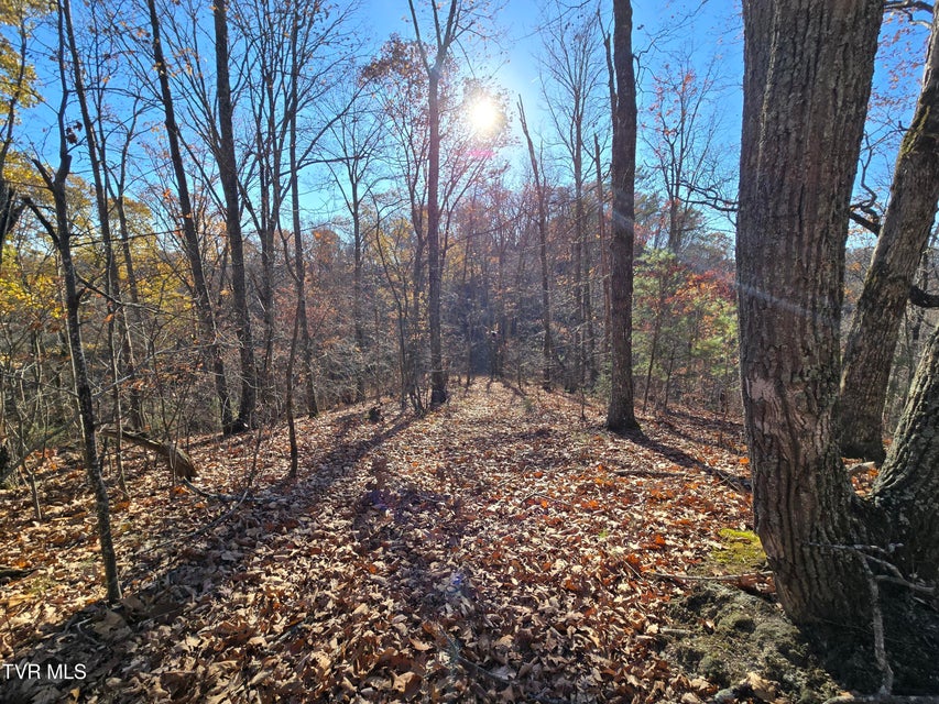 Photo #13: Tbd Lloyd's Chapel Road 