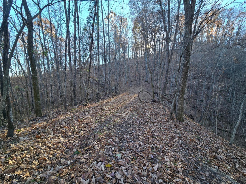 Photo #14: Tbd Lloyd's Chapel Road 