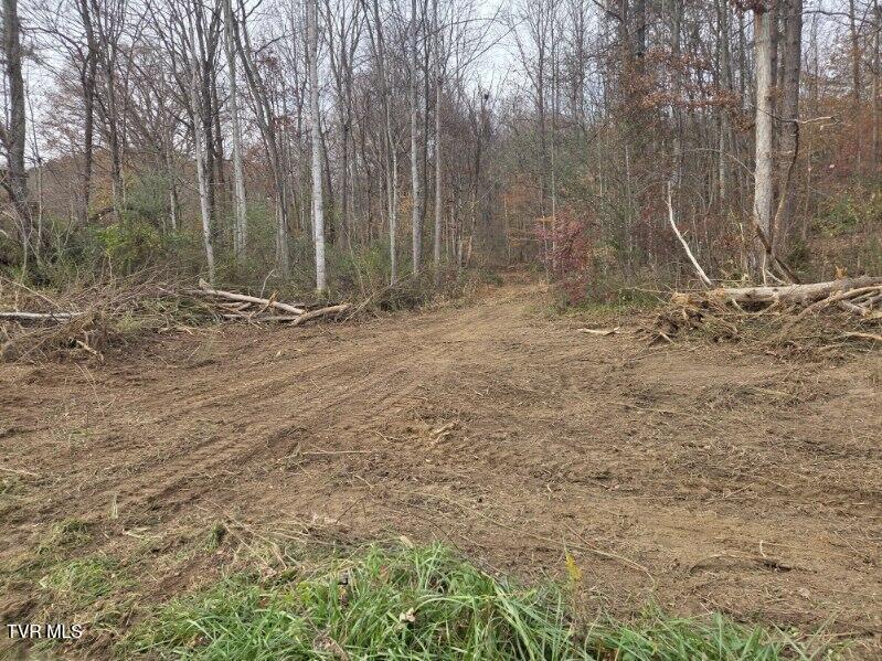 Photo #19: Tbd Lloyd's Chapel Road 