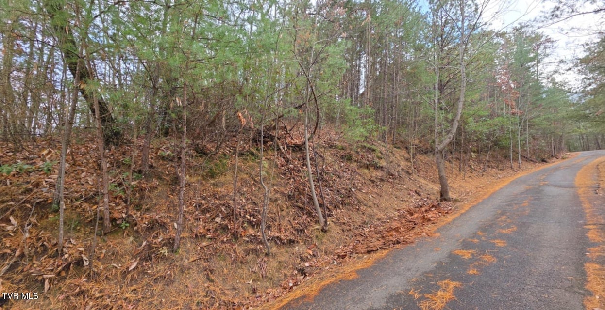 Photo #3: Lot 4 Glenview Way