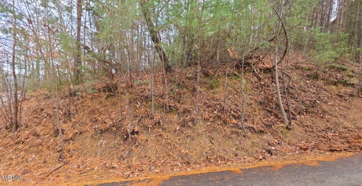 Photo #4: Lot 4 Glenview Way