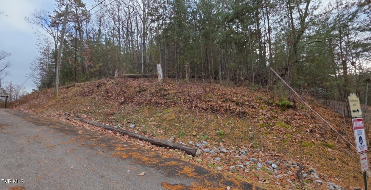 Photo #5: Lot 4 Glenview Way