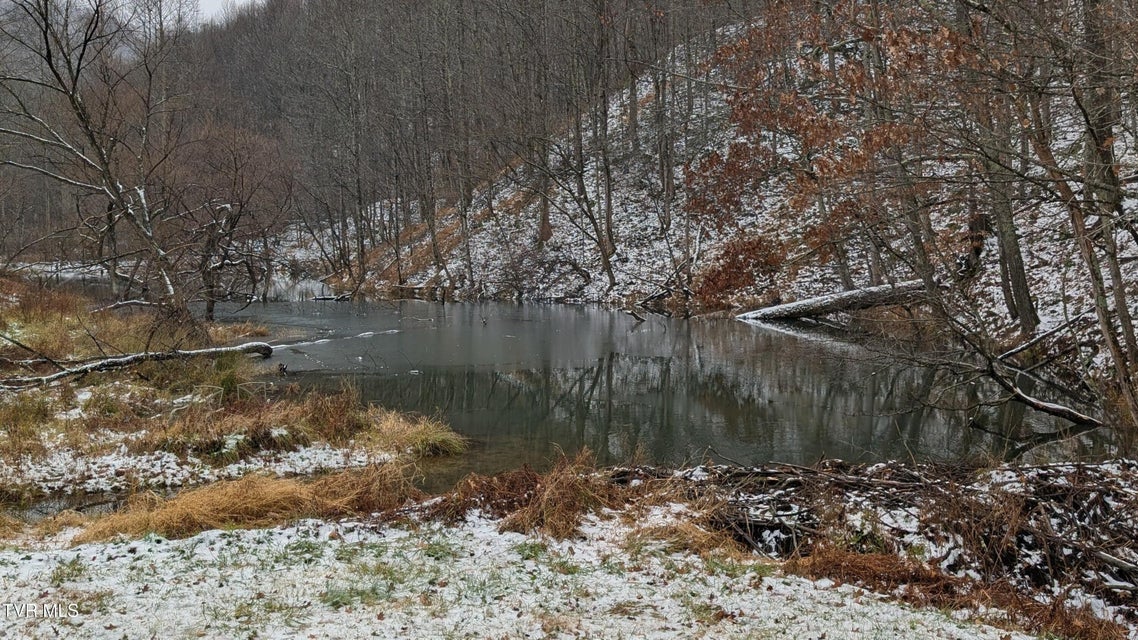 Photo #14: 7737 Birchfield Road