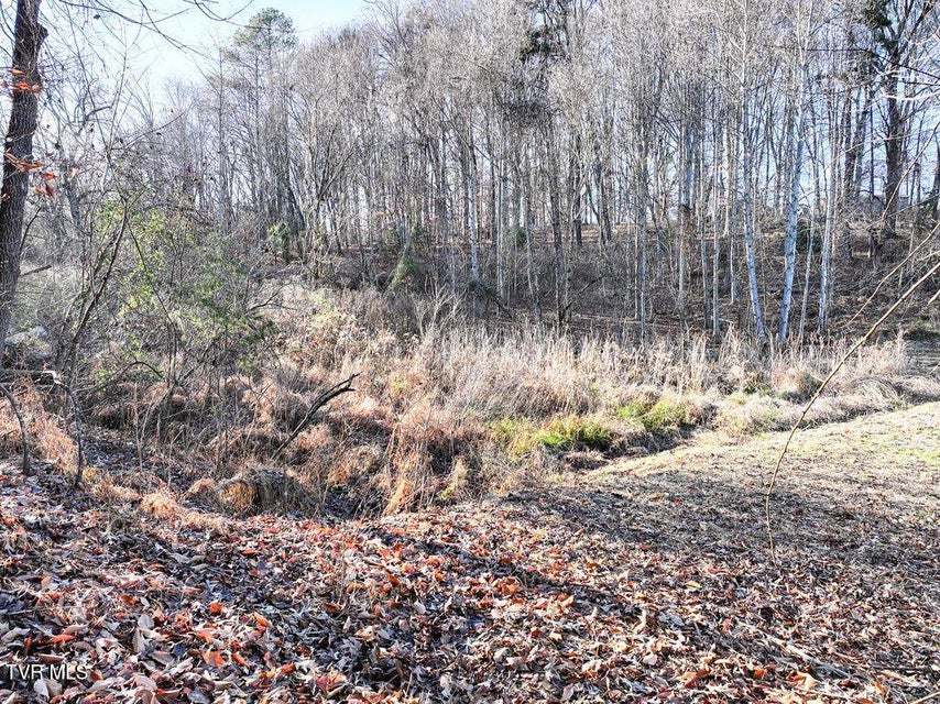 Photo #7: 148 Reynolds Avenue