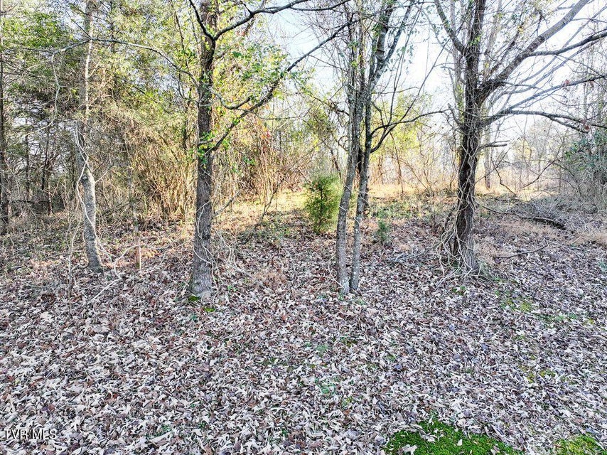 Photo #10: 148 Reynolds Avenue