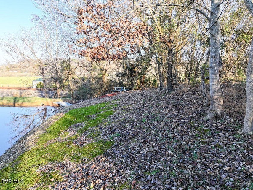 Photo #11: 148 Reynolds Avenue