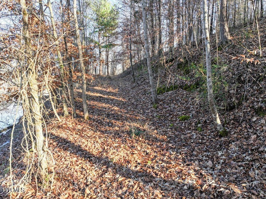 Photo #12: 148 Reynolds Avenue