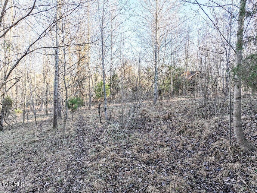 Photo #13: 148 Reynolds Avenue