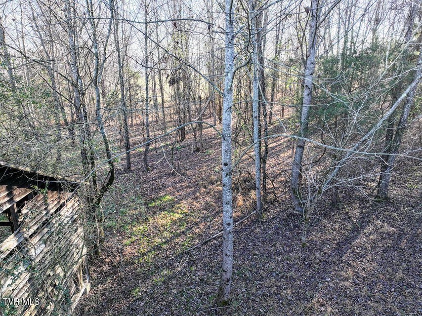 Photo #16: 148 Reynolds Avenue