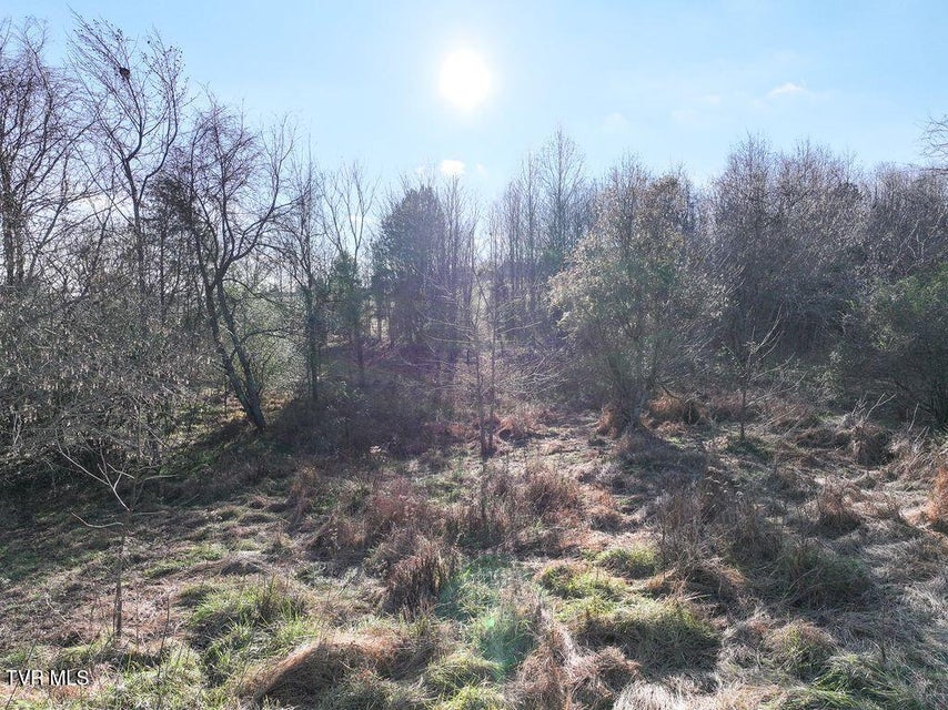 Photo #17: 148 Reynolds Avenue