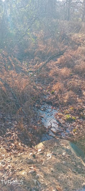 Photo #18: 148 Reynolds Avenue