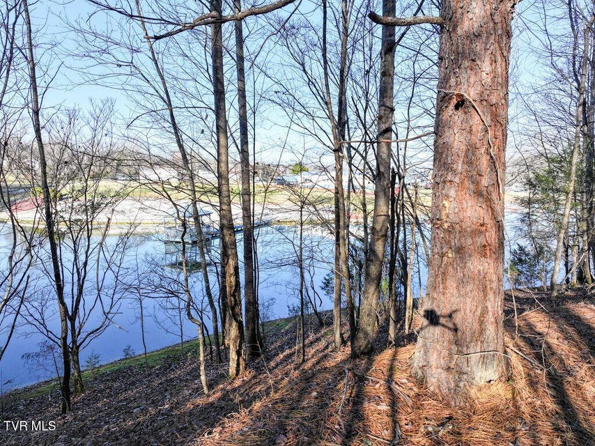 Photo #19: 148 Reynolds Avenue