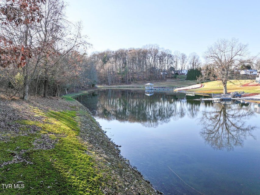 Photo #20: 148 Reynolds Avenue