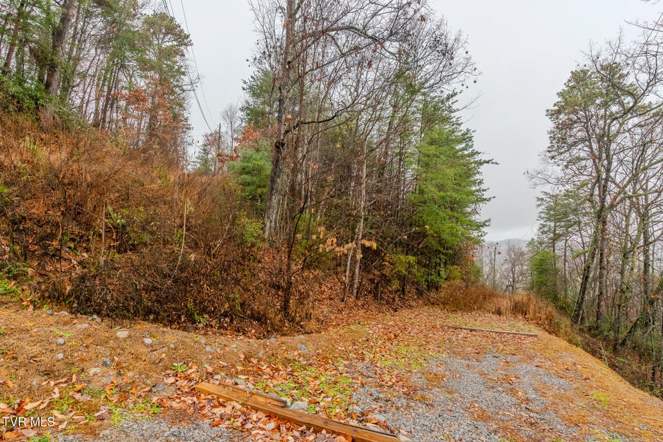 Photo #3: Lot 4 Glenview Way