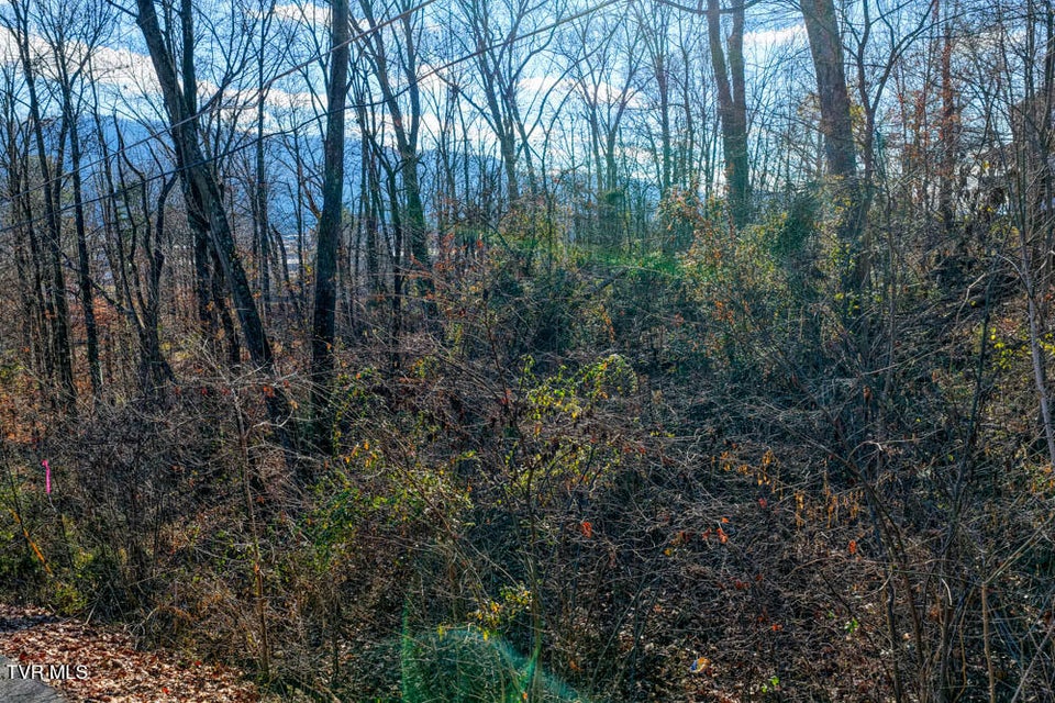 Photo #4: Tbd Blackheath Road