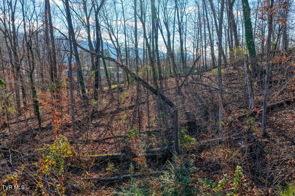 Photo #5: Tbd Blackheath Road