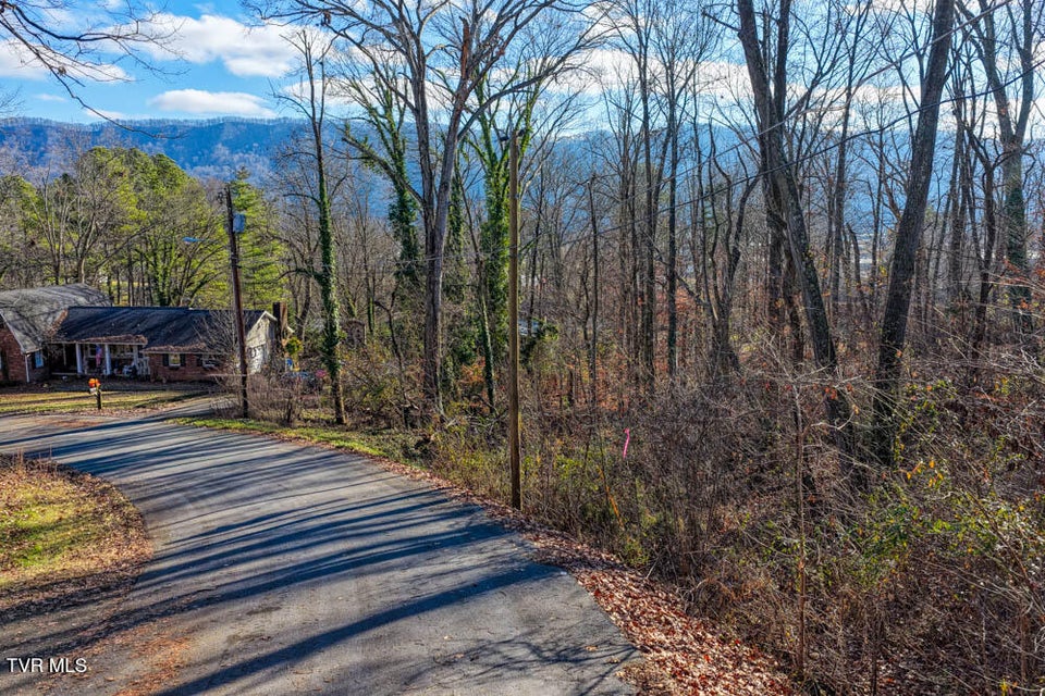 Photo #7: Tbd Blackheath Road