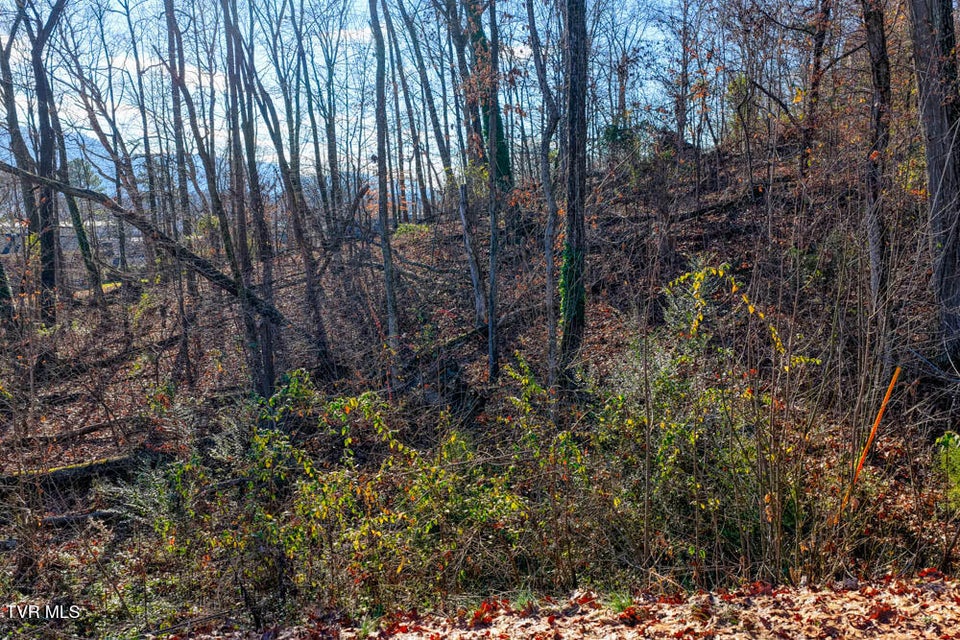 Photo #8: Tbd Blackheath Road