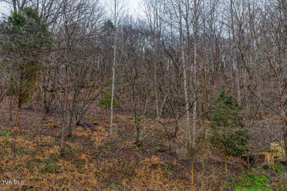 Photo #14: 276 Burem Road