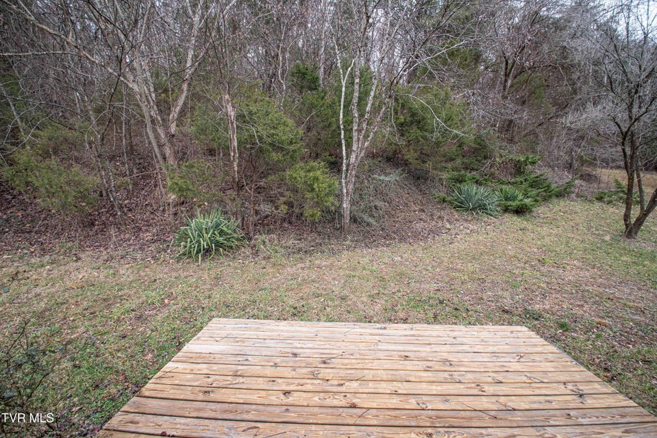 Photo #21: 259 Adams Street