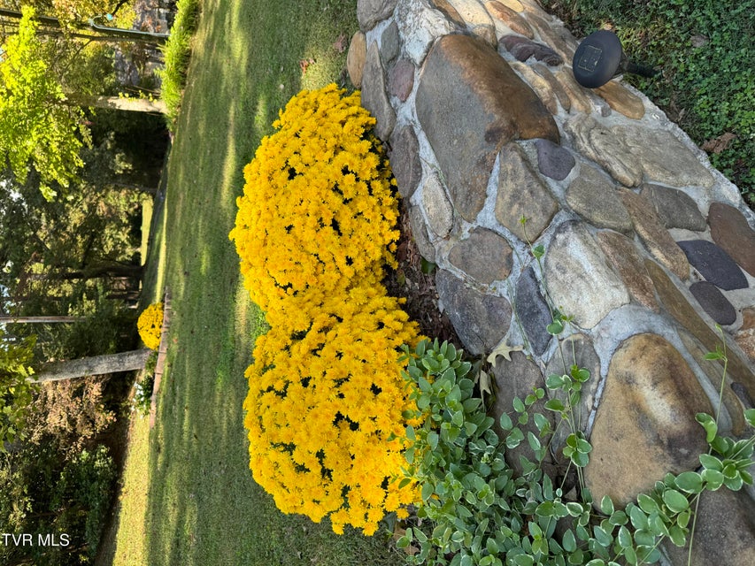 Photo #53: 1934 Old Walnut Lane