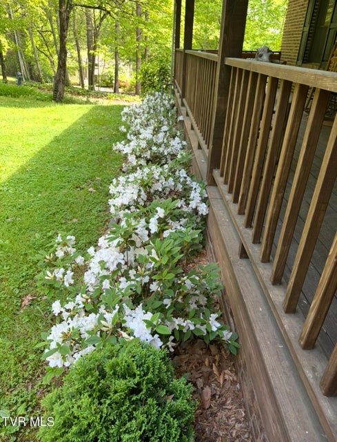 Photo #54: 1934 Old Walnut Lane