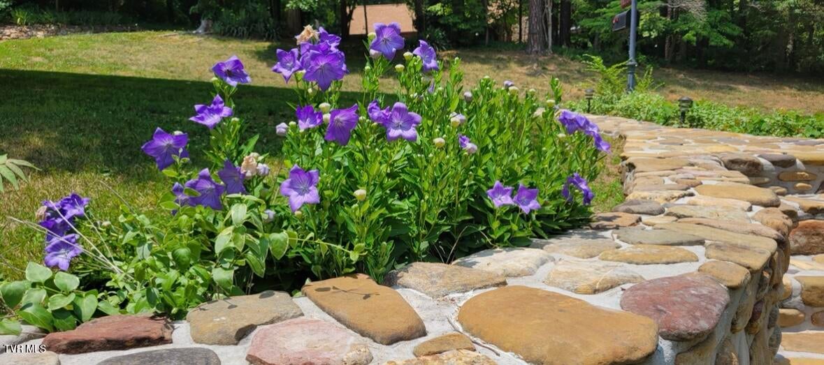 Photo #55: 1934 Old Walnut Lane