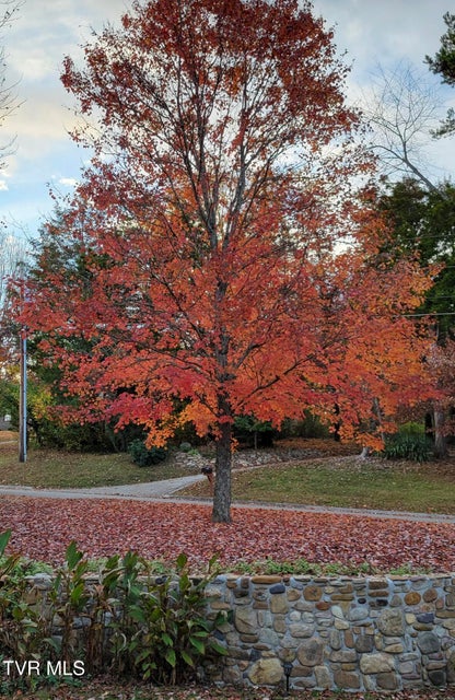 Photo #57: 1934 Old Walnut Lane