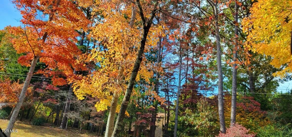 Photo #58: 1934 Old Walnut Lane