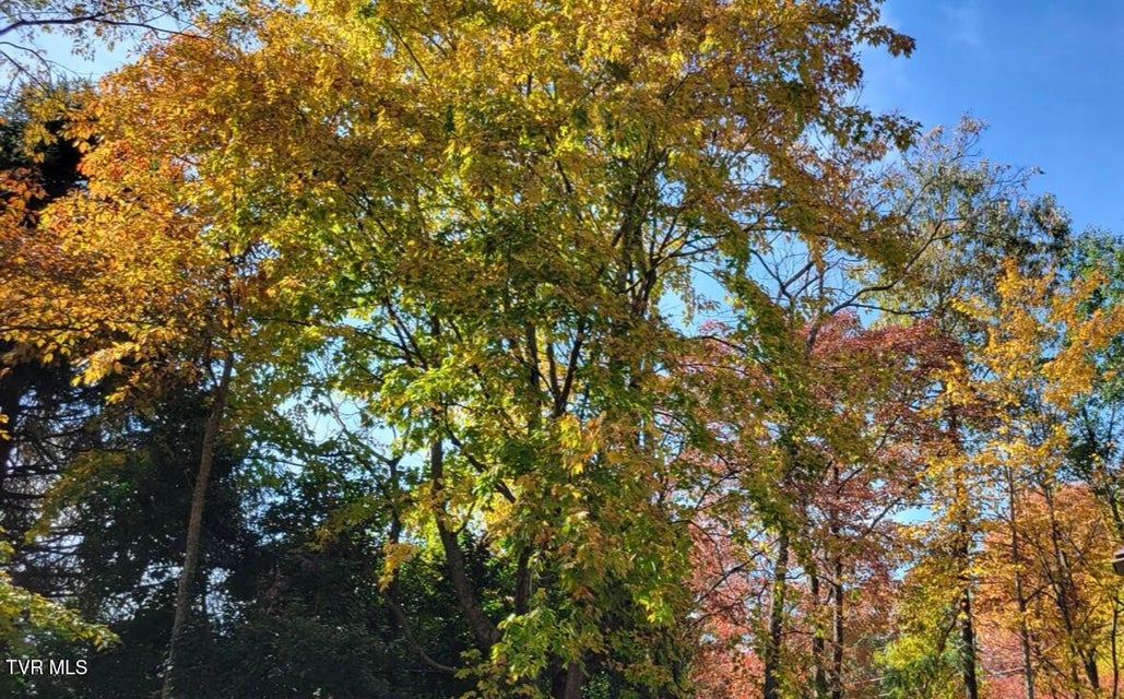 Photo #59: 1934 Old Walnut Lane