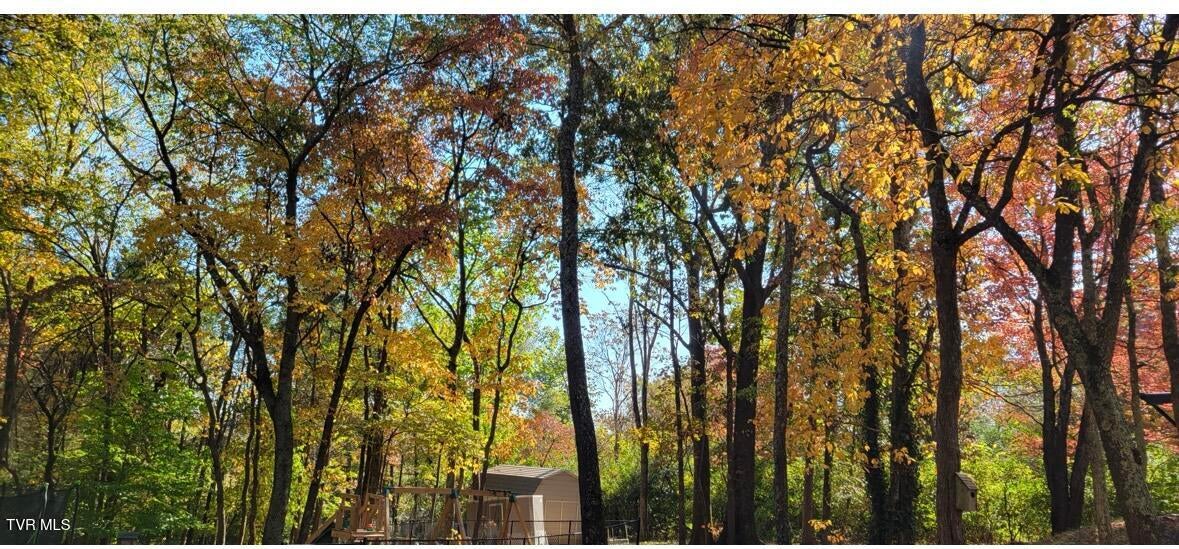 Photo #60: 1934 Old Walnut Lane