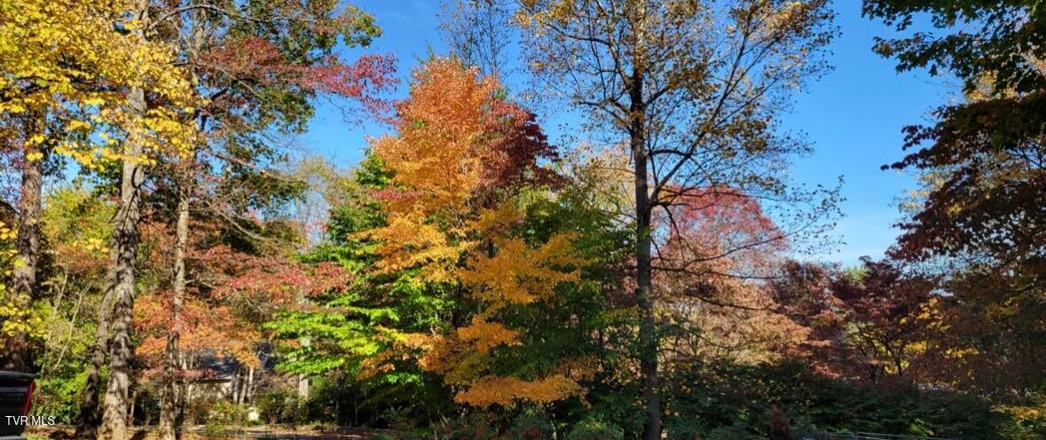 Photo #61: 1934 Old Walnut Lane