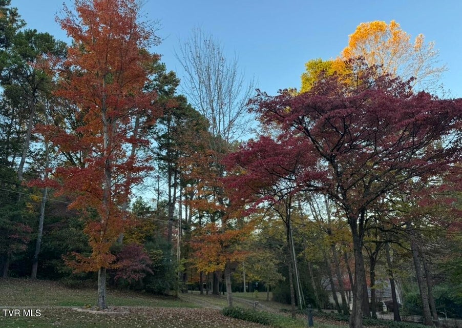 Photo #64: 1934 Old Walnut Lane